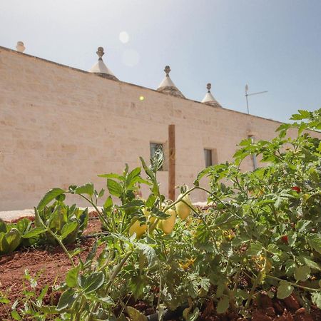 Villa Td I Coni Di Pinure Trulli With Scenic Valley View Martina Franca Exterior foto