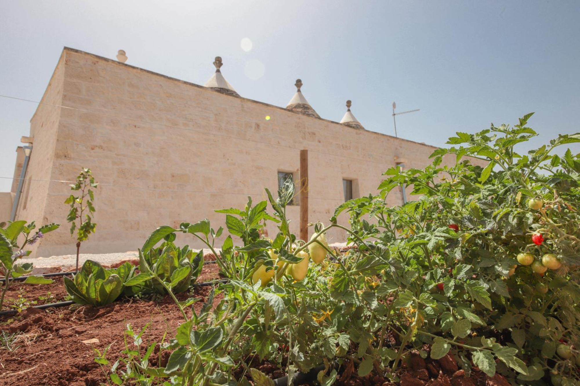 Villa Td I Coni Di Pinure Trulli With Scenic Valley View Martina Franca Exterior foto